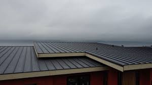 Trusted Dillingham, AK Roofing services Experts